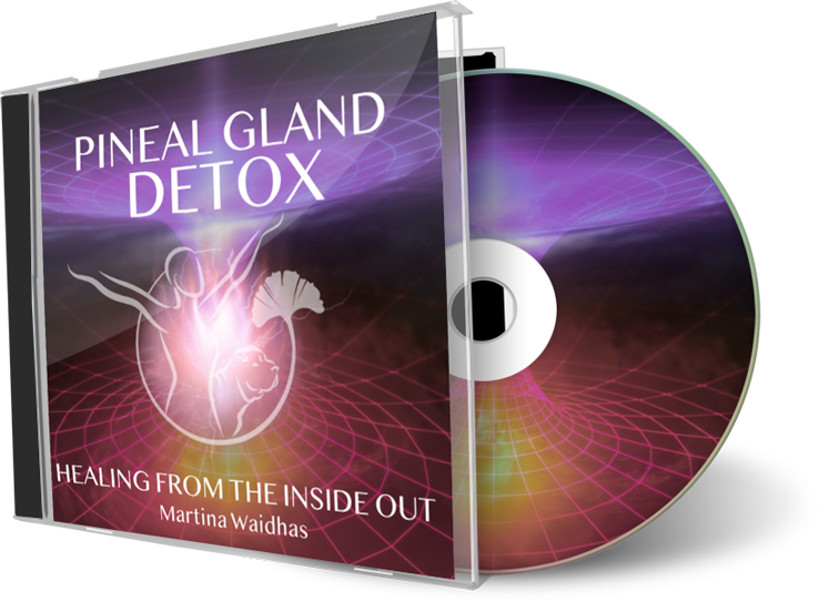 Pineal-Gland.png