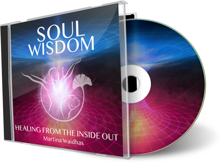 SOUL-WISDOM.png